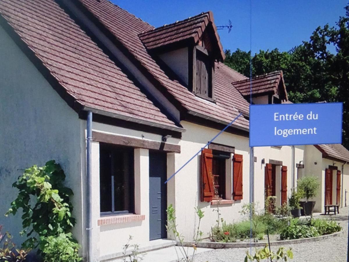 Le Clos De La Deesse La Ferte-Saint-Cyr Bagian luar foto