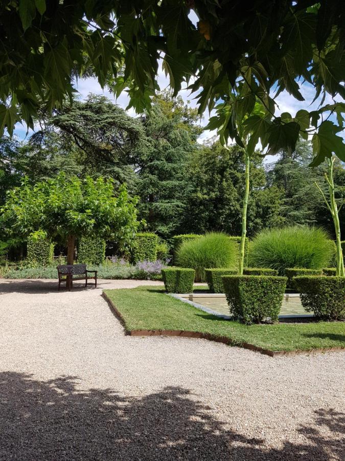 Le Clos De La Deesse La Ferte-Saint-Cyr Bagian luar foto