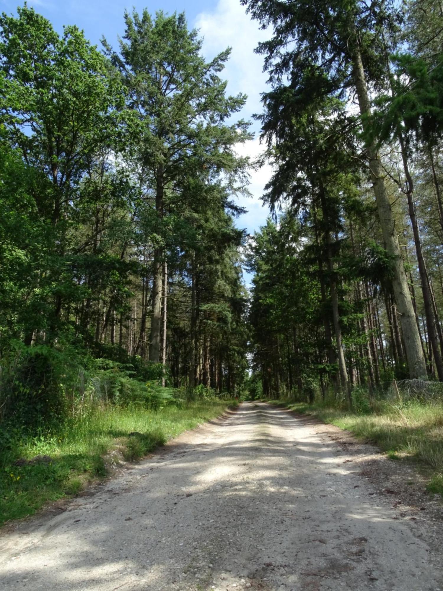 Le Clos De La Deesse La Ferte-Saint-Cyr Bagian luar foto